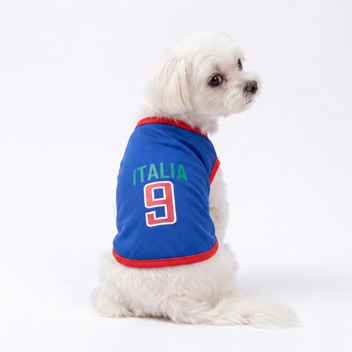 Paw Cup Jerseys