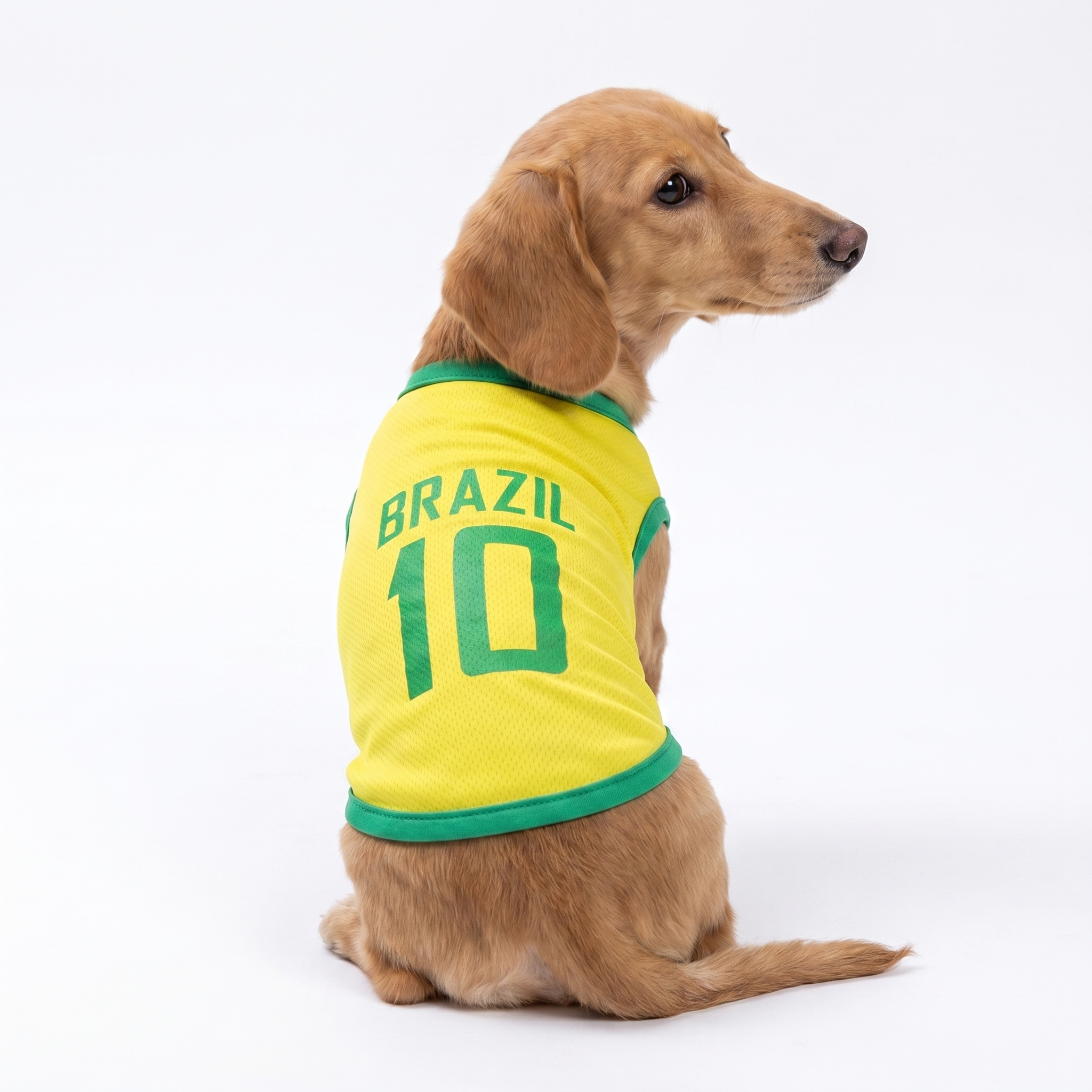 Paw Cup Jerseys